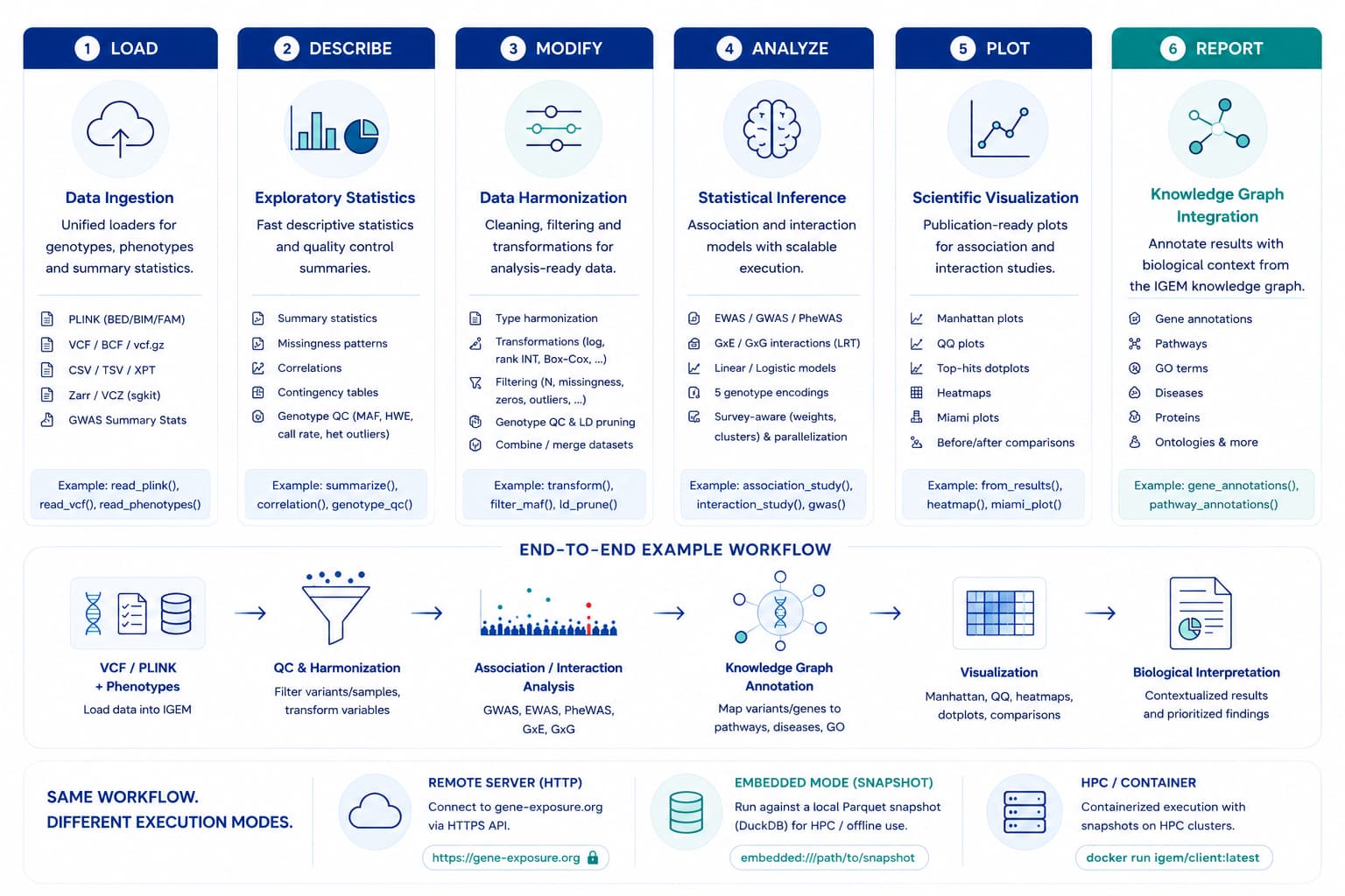 IGEM Client stack: six capability modules (Load, Describe, Modify, Analyze, Plot, Report) wrapping an end-to-end workflow from raw genotypes and phenotypes to biological interpretation. The same workflow runs in remote, embedded snapshot, or containerised modes.